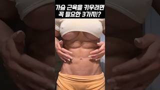 가슴근육을 키우려면 꼭 필요한 3가지!?