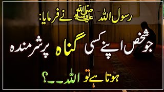 Jo Shkhs Apne Kise gunah par sharminda Hota hai | Islam ki Bat | Hadees | Islamic Urdu PAKISTAN