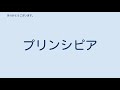 日産・オースチンa50ケンブリッジ