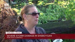 Fallen tree nearly hits preschool in Sheboygan