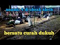 BERSATU curah dukuh vs ANAMIR 4 gerongan - tarik tambang krengi