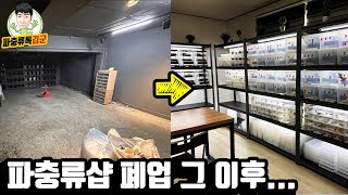 유튜버의 파충류 생물방 공개합니다. (feat.백수가 먹고 사는 법)