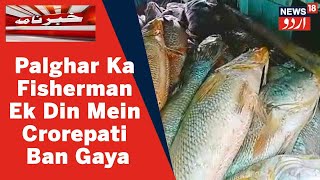 Maharashtra News: Palghar Ke Fisherman Ne 157 Ghol Machliyon Ko 1.33 Crore Rupiye Mein Becha