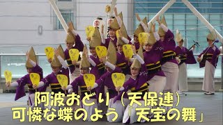 可憐な蝶のような天保連の女性団扇踊り「天宝の舞」（2022年８月13日：アミコドーム）