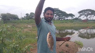 పెద్ద చేపల కోసం వస్తే బుర్క చాపలు పడ్డాయి|village fishing