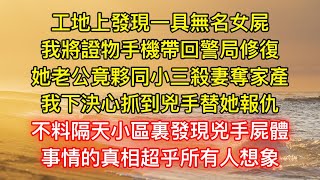 工地上發現一具無名女屍，我將證物手機帶回警局修復，她老公竟夥同小三殺妻奪家產，我下決心抓到兇手替她報仇，不料隔天小區裏發現兇手屍體，事情的真相超乎所有人想象