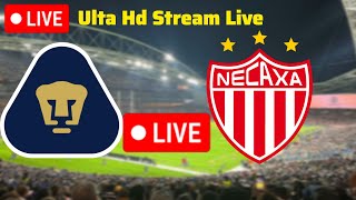 TUDN / Necaxa  vs pumas eliga mx Live / Liga MX  Live stream