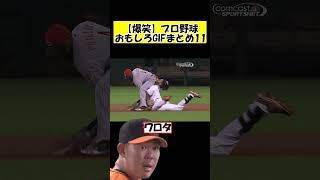 【爆笑】プロ野球おもしろGIFまとめ11【 なんｊ反応集】#shorts