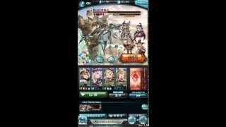 【グラブル】シュヴァリエ・マグナ討伐戦  [EXTREME] - 種族 : ヒューマン