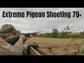 THC - The Hunting Channel | 70+ Pigeons Shooting Over OSR Stubble 2023