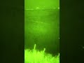 another night vision and ir laser video