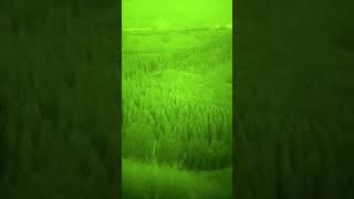 Another night vision and IR laser video