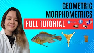 Geometric Morphometrics Full Course (Landmarks, PCA, SPSS, R) for Biologists
