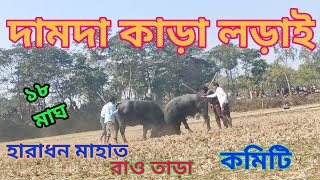 দামদা কাড়া লড়াই #kara #kara larai #purulia #