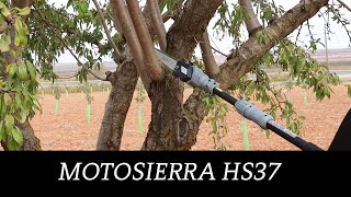 Motosierra HS37