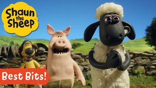 Best Season 3 Clips from Shaun and the Flock 🐑 Shaun the Sheep