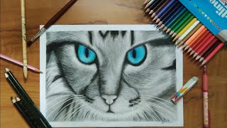 Realistic cat drawing ||easy cat drawing || Izza Arts || pencil sketch || cat sketch || tutorial