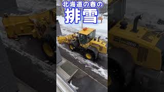 【春の排雪】北海道の除雪　パートナーシップ排雪　#shorts