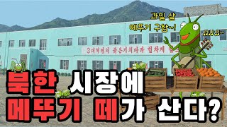 [북소통] 북한은 진작에 무너졌어야 하는 나라 아니야? 북한을 지탱해온 과거, 그리고 현재의 경제 체제