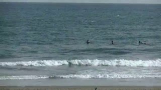 surfing　宮崎のサーフポイント梅ケ浜（日南）の美人サーファーガールズ