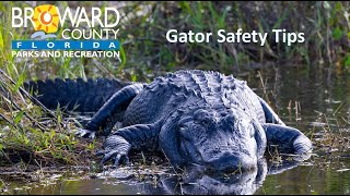 Alligator Safety Tips at Everglades Holiday Park