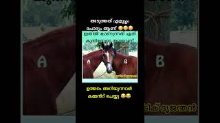 കുറച്ചു കുഴങ്ങും നിങ്ങൾ 99% പേരും തോറ്റ ചോദ്യം malayalam puzzle funny shorts reels