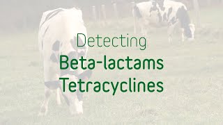 Detecting Tetracycline and Beta-Lactam antibiotics in Milk with TwinSensor