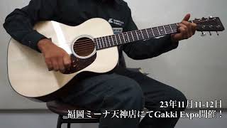 Martin CTM 00-18 Adiron #2778314【トップアディロン】