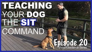 Easily Teach Your Dog the Sit Command. Episode 20
