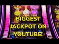 BIGGEST JACKPOT ON YOUTUBE!