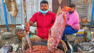 MASSIVE GROUPERS FISH KNOCKOUT BY DRILLING SPEED SELVAM🔪KF FISH CUTS