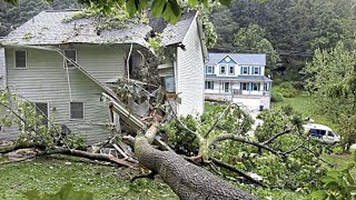 Dangerous Fastest Cutting Tree Fails Skill With Chainsaw, Tree Falling on Houses
