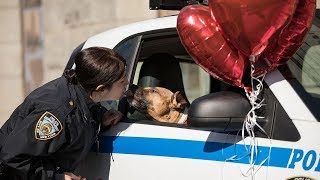 After 3,000 animals treated, NYPD, ASPCA launch mobile post