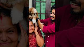 കൊച്ചുന്റെ വീട്ടിലെ പുതിയ അതിഥി🐕🐶🤌🏻#pranavkochu #trendingshorts #trending #viral #shorts