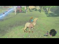 zelda breath of the wild walkthrough central tower rota ooh shrine u0026 shae loya shrine guide