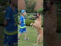 Super Dog Vs Smart Kid #Dog Training Trailers #368 #shorts