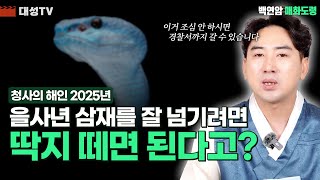 [대성TV📺] 과태료 내면 을사년을 잘 보내는 사람이 있다? 2025년 을사년 삼재 바뀌는 띠와 잘 보낼 수 있는 방법[용한 점집 인천 백연암 매화도령]