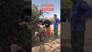 #ลิปซิงค์#ตลก#555 #ขำๆ#ถึกเร็วคักบ่ #ยายนาวสายฮา #funny#comedy #trending #shortvideo #youtubeshorts