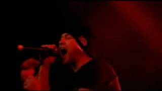 Mesh - Petrified Live Video from We Collide DVD