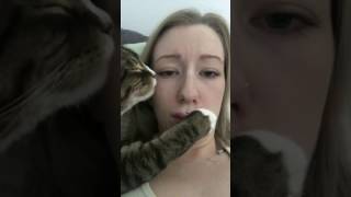 Cat Awkwardly Touches Owner