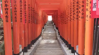 日枝神社、千本鳥居。