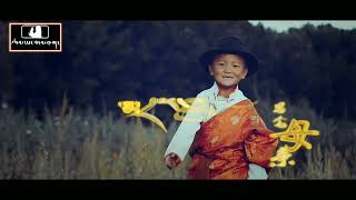 2023 Tibetan Song ཨ་མ་དྲན་གླུ་ - བསྟན་པ་རྒྱན་མཚན་་