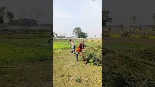 একি আজব কান্ড। #shortvideo #shortsfeed #shorts