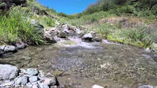 Arroyo de montaña, sonidos del agua.