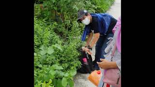 Visitor catches women plucking flowers at Sembawang Hot Spring Park