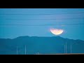 2020 super pink moon 4k