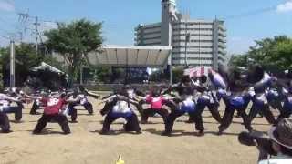 玉名温泉夢祭り2015 熊本県立大学　一大事