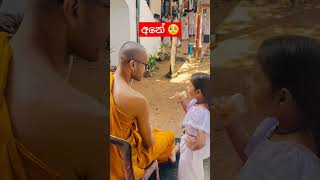 අනේ බලන්නකෝ එයාගේ ආදරේ 🥺❤️ | #shorts #love #trending #cute #viralvideo #viralshorts