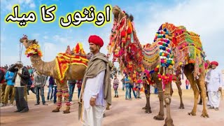 Beautiful camel/Onth jamaat baba Mohammed Panah 2022#ch mohsin vlog