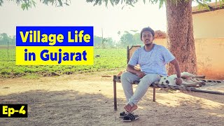 My stay at a farmhouse in Deesa | Ahmedabad | Gujarat | Ep-4